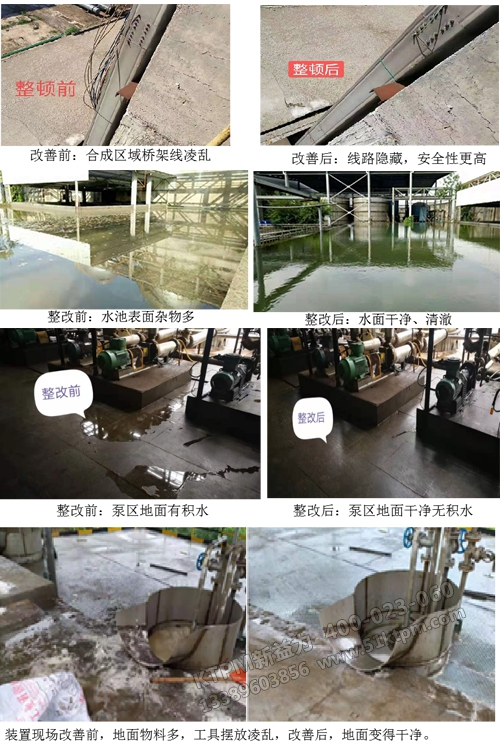 項目碩果累累 項目碩果累累