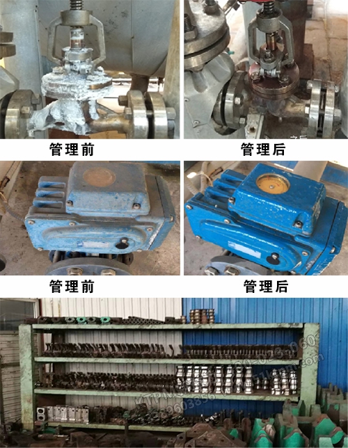 活動預覽 活動預覽